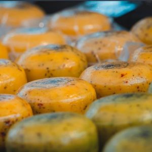 Ciuperci umplute cu cascaval